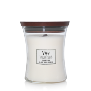 Ylang ylang solaire