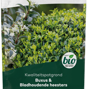 Terreau Buis & Arbustes à feuilles persistantes