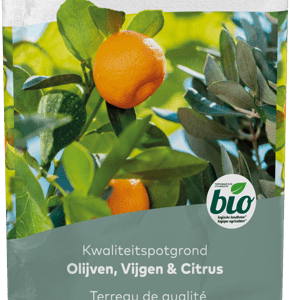 Terreau Oliviers, Figuiers & Agrumes