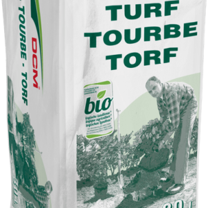 Tourbe