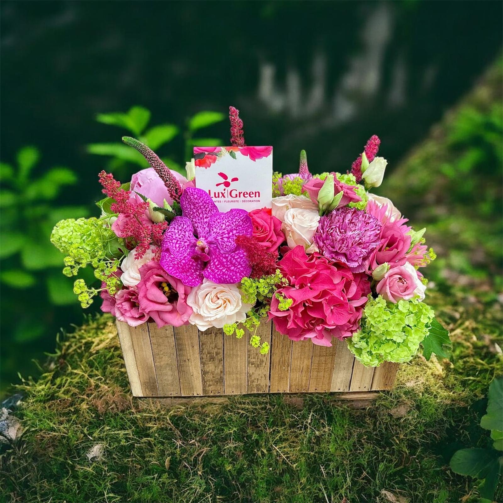 Composition Céleste